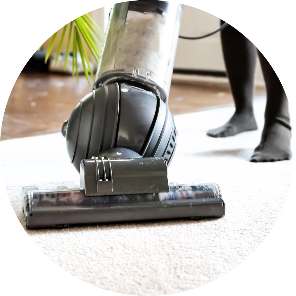 Carpet Daily Care | Floor Concepts