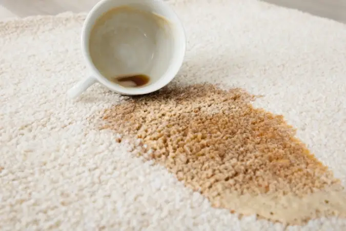 Area Rug Coffee Stain | Floor Concepts