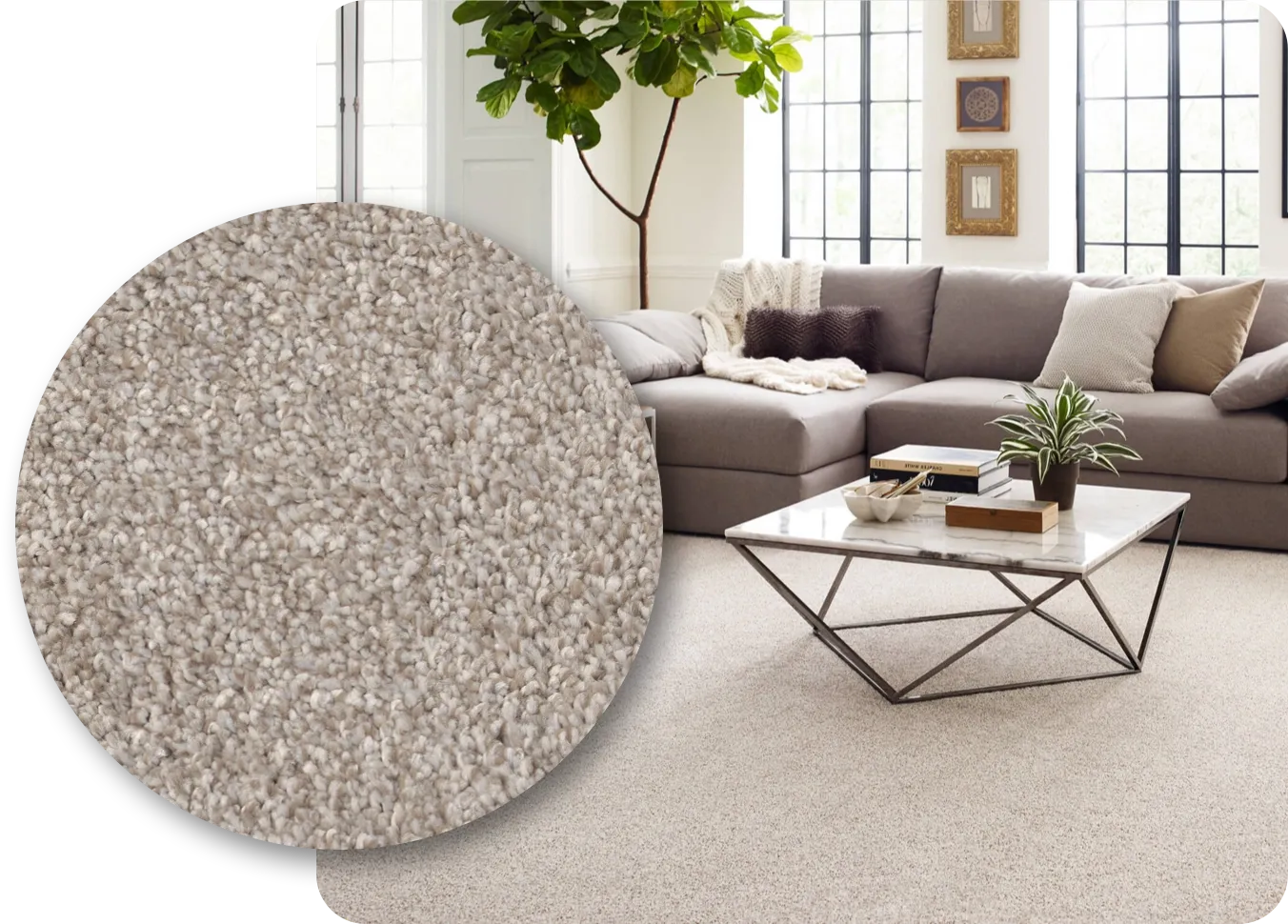 Carpet Flooring | Floor Concepts